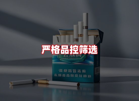 专业团队